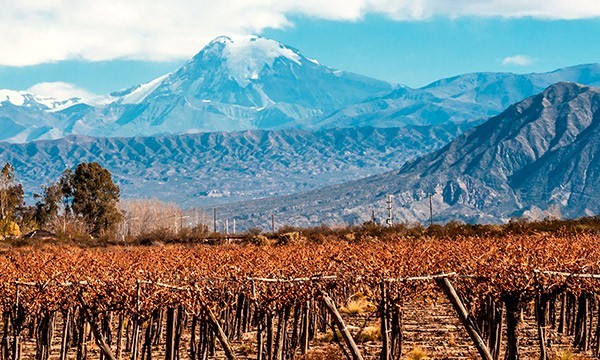 Mendoza - Mountains and Wineries