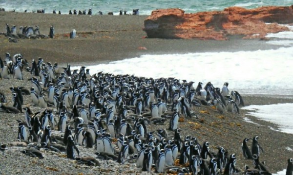 Patagonia Adventure Tour 
